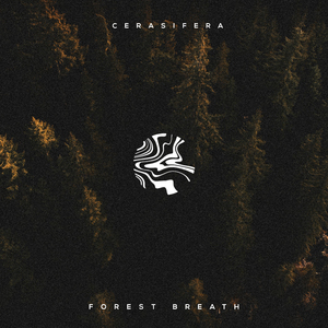 人妻少妇精品无码
