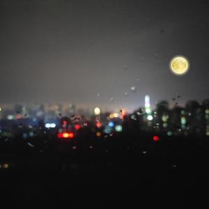 人妻少妇精品无码
