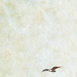 人妻少妇精品无码
